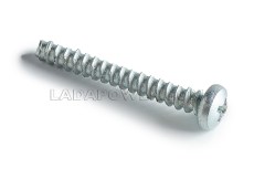 Lada Self-Tapping Screw 4,3*31,8