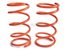 Lada Samara Rear Lowered Coil Spring Set -50mm