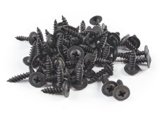 Lada Splash Guard Screw 4,2*16 100Pcs Kit