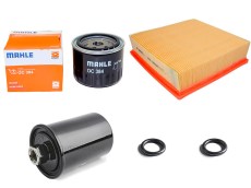 Lada Niva 1700 Multipoint Injection MPI Filter Service Kit